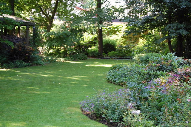 C. Ludowig Garten-&Landschaftsbau - Rasen